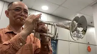 Bach 180S37 Trumpet