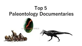 My Top 5 Favorite Paleontology Documentaries
