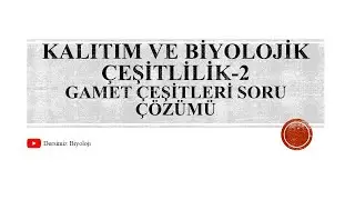 10. Sınıf Kalıtım (Bağımsız ve Bağlı Genlerde Gamet Çeşidi Soruları)