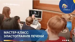 Мастер-класс: ЭЛАСТОГРАФИЯ ПЕЧЕНИ