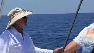 В погоне за голубым Марлином.