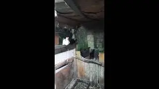 Лариса Яковлева в прямом эфире!
