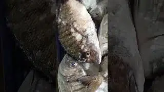١٣ مارس ٢٠٢٣