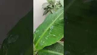 water experiment 