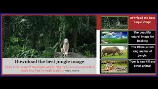 New Style Featured Slider For Website
