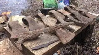 Экспедиция в Вологодскую