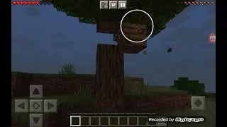 Выживаю в дикей запеде 😱😱 1 день