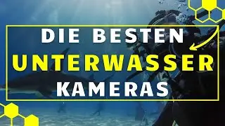 Unterwasserkamera TEST (2024) - Die 3 besten Unterwasserkameras im großen VERGLEICH!