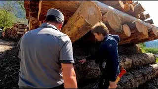 Uomini e Boschi (pt.13) - Il bostrico