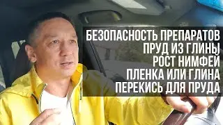 Ответы на вопросы. Очистка пруда. Пруд из глины. Нимфеи. Препараты.