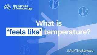 Ask the Bureau: What is 'feels like' temperature?