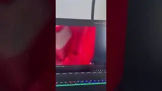 Spoiler