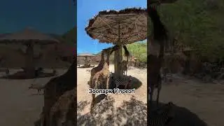 Это самый лучший и дешевый парк развлечений
