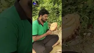 How to make a Lord Ganesha from coconut handicrafts | home decore
