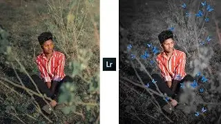 Moody Butterfly Effect Photo Editing In Lightroom | Lightroom editing | Lightroom mobile tutorial