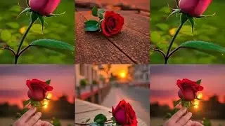 Treand Try..💗❤️‍🩹#viralshort #unfrezzmyaccount #cupcut #plz_subscribe_my_channel #reshmi #rayhan 💗💞