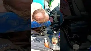 Трудный ☀ день. Тарантино в заботах. и трудах.