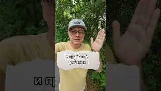 Родственные души и семья 
