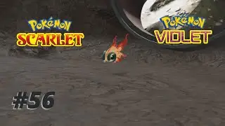 Pokémon Scarlet and Violet / Catching Chi-Yu / Firescourge Shrine (Blue) / Stake Locations