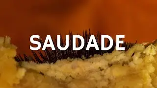 Carne Doce - Saudade (Libras e letra)