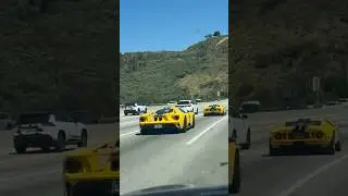 Father/Son Matching Ford GTs