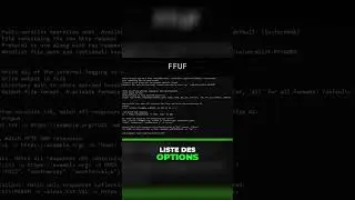 C'est quoi le fuzzing ?