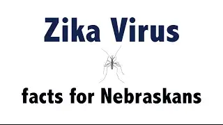 Zika Virus - Facts for Nebraskans
