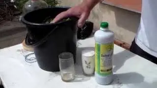 Preparation of EM extract