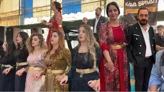 Hakkari Jirki Aşireti Düğünü - Kava Şirvan | Hozan Menice 2022