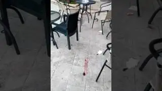 Алара кум с утра в столовой Отель 5 звезд Алания