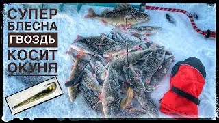 Зимняя рыбалка. Блесна ГВОЗДЬ. Ловля окуня со льда на блесну.