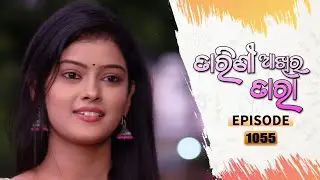 Tarini Akhira Tara | 09 Aug 2021 | Full Ep - 1055 | Odia Serial–TarangTV