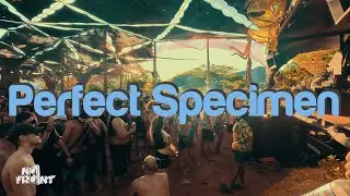 Perfect Specimen @ Mundo de Oz - As Guardiãs [4k]