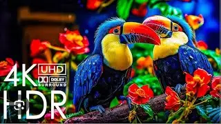 #4k #UHD