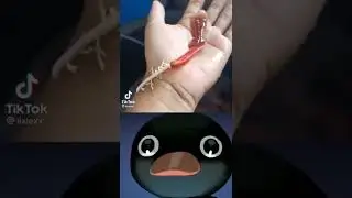Веном в реальной жизни 