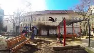 Spring-Parkour and Freerun 2013