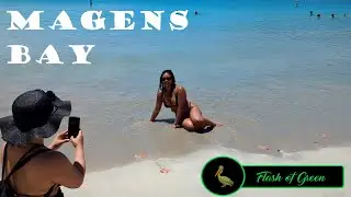 Virgin Islands Beach Walk - Magens Bay Beach - May 3, 2023 - St. Thomas, USVI