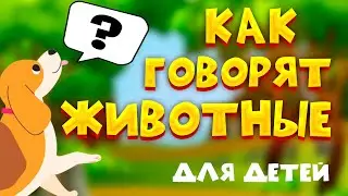 Как ГОВОРЯТ животные? ЗВУКИ и ГОЛОСА Животных.