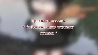 *красная плесень* meme "бабушка внуку скрипку купила"