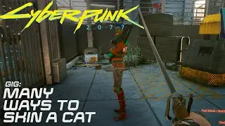 Cyberpunk 2077 - Many Ways To Skin A Cat | Gig