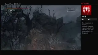 Bloodborne Stream of Suffering part2