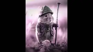 HOMELESS HAMSTER