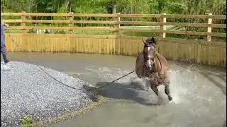 Water Training with Boyd Martin on Corro Stories: Horse in a Conditioning Pool