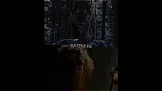 Великий тигр VS Немейский лев