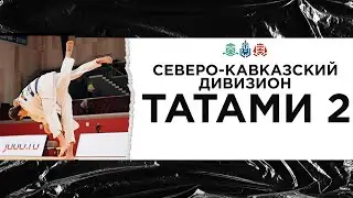 Триумф Energy - Финал Северо-Кавказского дивизиона 2024