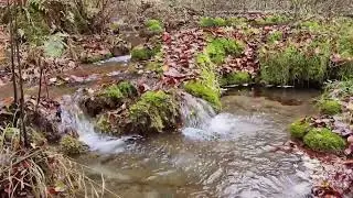 15 Minutes Relaxing Video Babbling Brook - Original Sound #relaxing #relxation