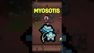 MYOSOTIS TE AYUDARA SI ES QUE OLVIDASTE PICK UPS EN EL PISO ANTERIOR the binding of isaac #shorts