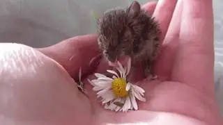 Свет для УАЗа Часть 2