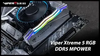 Viper Xtreme 5 RGB DDR5 MPOWER 聯名電競記憶體 | Patriot Viper 博帝科技