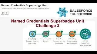 Named Credentials Superbadge Unit | Challenge 2